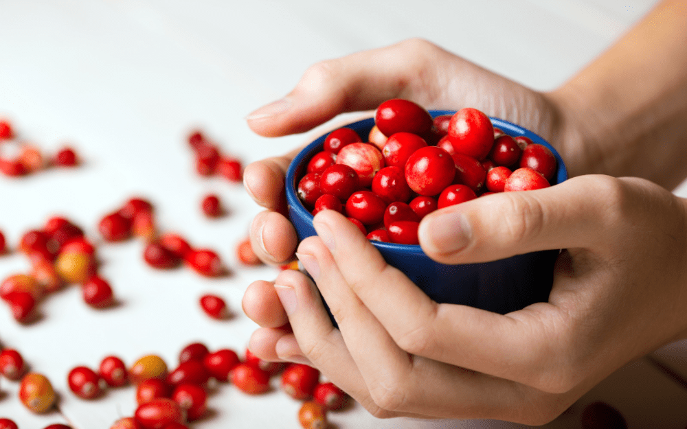 Cranberry: The Superfood for Your Immune System - Healthbox