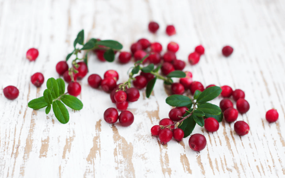 Cranberry: A Natural Solution for UTIs - Healthbox