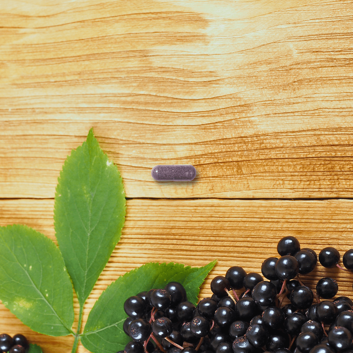 Elderberry - Healthbox