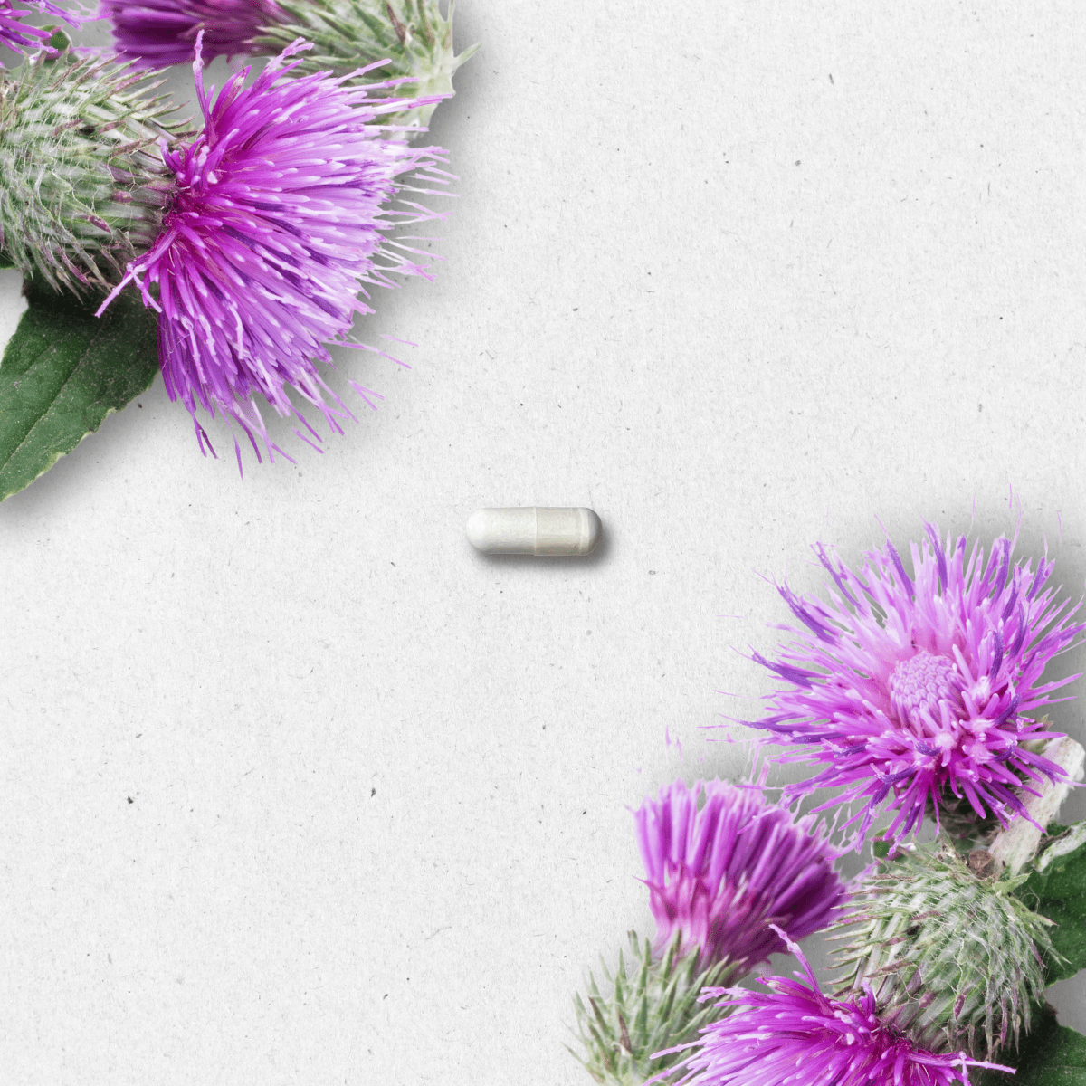 Milk Thistle - Healthbox