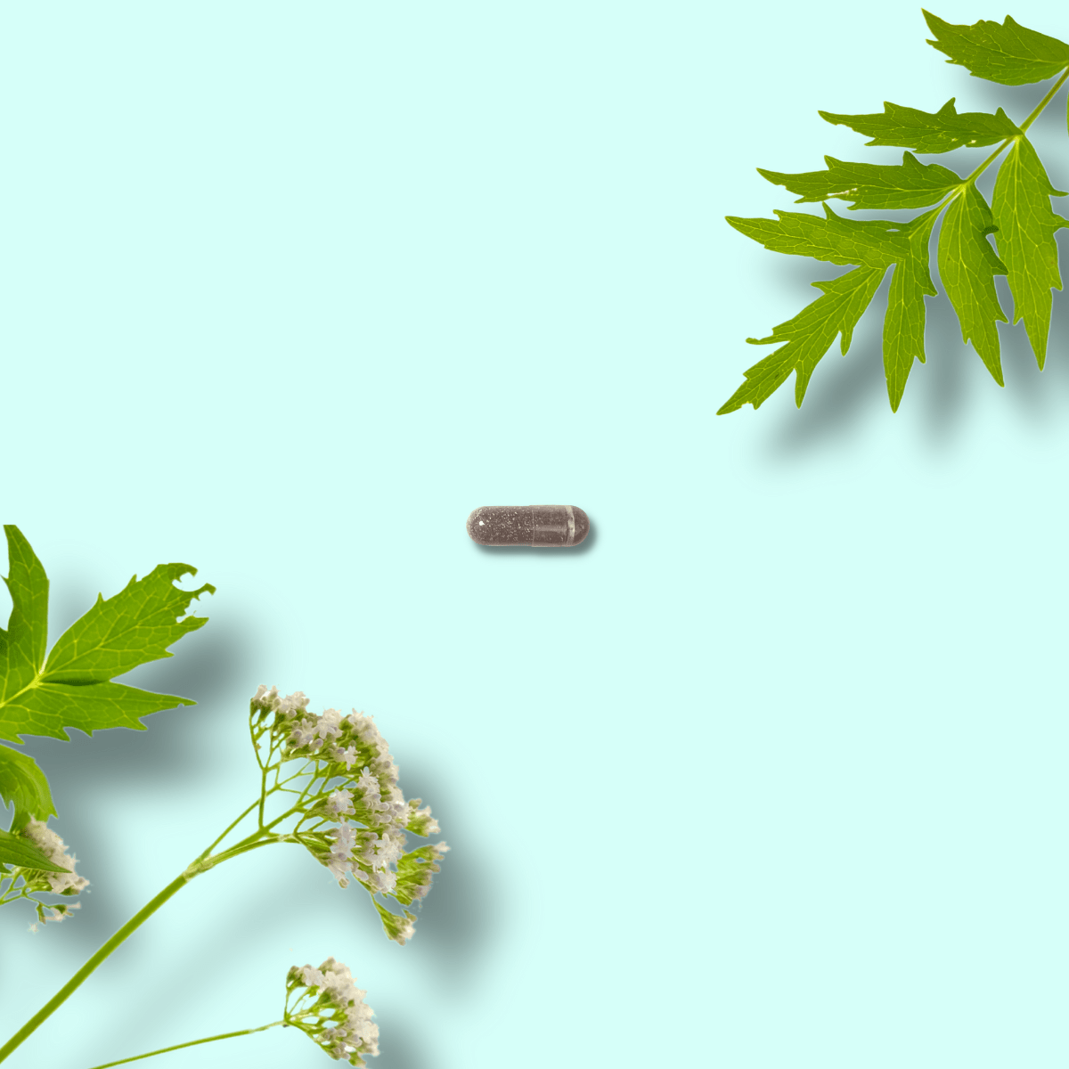 Valerian - Healthbox