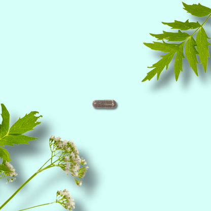 Valerian - Healthbox
